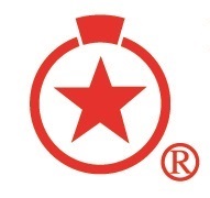 リングスターロゴ大-2